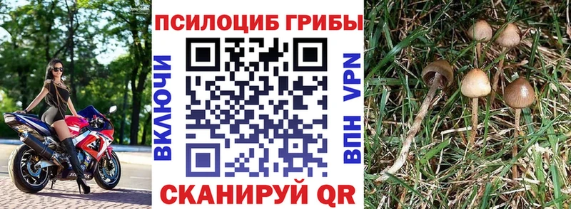 Галлюциногенные грибы MAGIC MUSHROOMS  где можно купить наркотик  Ульяновск 